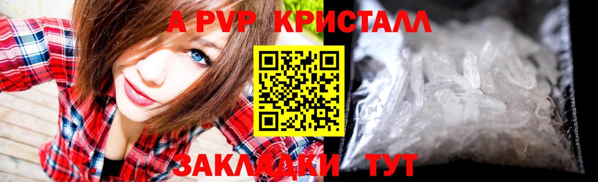 Альфа ПВП СК Канаш