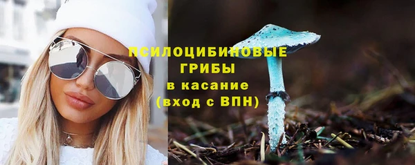 гидропоника Алексеевка
