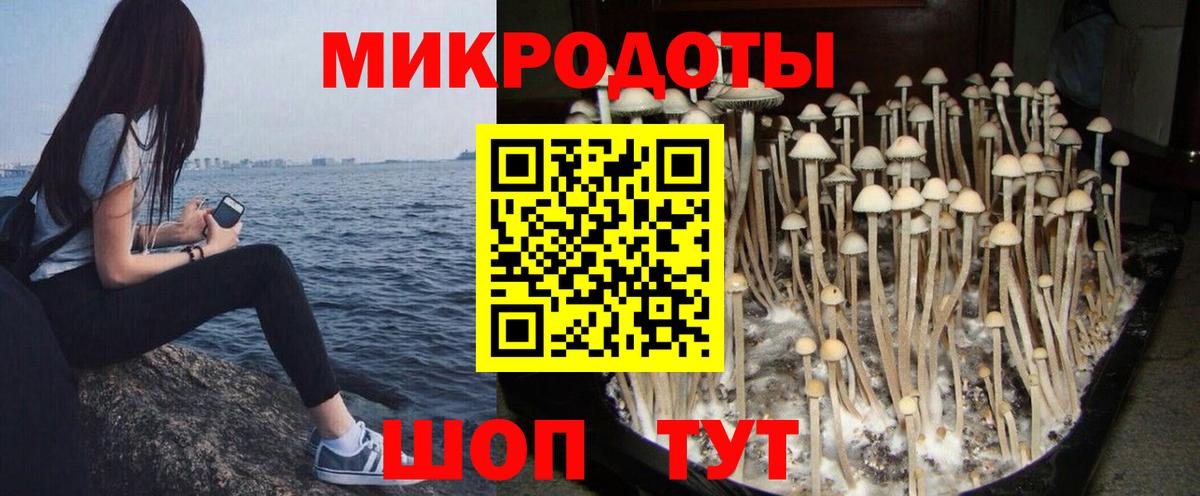 Галлюциногенные грибы Psilocybine cubensis  Вход с VPN  Канаш  Галлюциногенные грибы MAGIC MUSHROOMS 