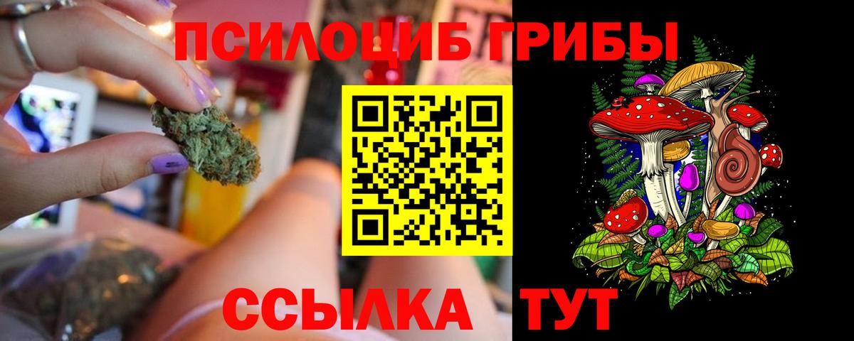 Галлюциногенные грибы Psilocybine cubensis Канаш